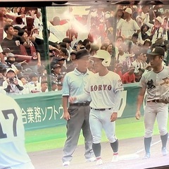 【受け渡し決定済み】SHARP シャープ 50型　液晶テレビ 4T-C50AJ1の画像