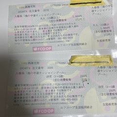 終了大人&幼児1枚ずつ