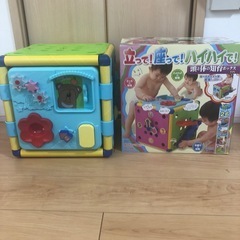 立って！座って！ハイハイで！ 頭と体の知育ボックスDX
