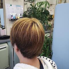 生活保護または精神障がい者年金の方