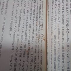 「デュラント 世界の歴史 1～32」 全32巻セット 日本ブック・クラブの画像