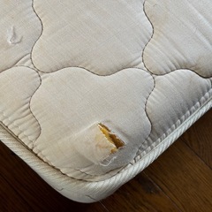 Re:CENO リセノインテリア　ロータイプ　セミダブルベッドの画像