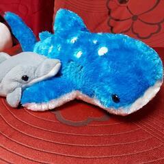 海の生き物の画像