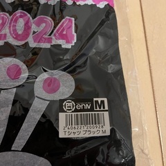 稲葉浩志　2024 ツアーTシャツ　Mサイズの画像