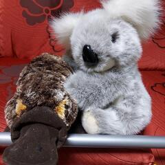 オーストラリアの動物たち