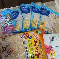 ハムスターお迎えセットの画像