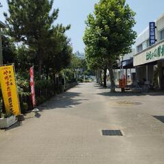 🌼🌻異業種交流会のグルメン募集😊🌟