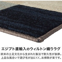 クリーニング済カーペットの画像