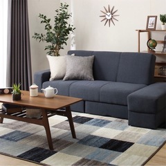 クリーニング済カーペットの画像