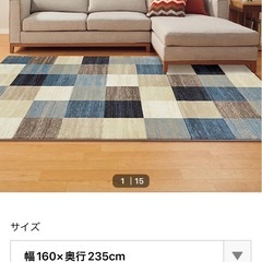 クリーニング済カーペットの画像