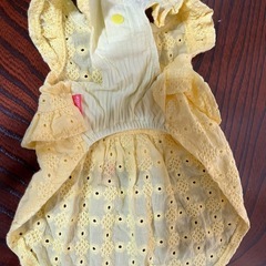 わんちゃん用ドレスの画像