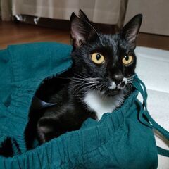 タキちゃん