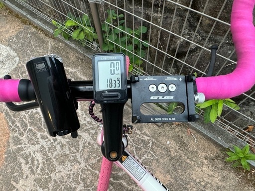 schwinn cutter シングルスピード　自転車