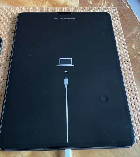 iPad Pro 12.9【第5世代　cellular】
