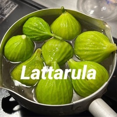 Lattarula 白イチジク　オーガニック 穂木　5本　ラッタルラ