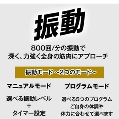 スマートヴィータ　振動マシン　EMSの画像