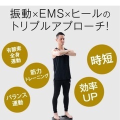 スマートヴィータ　振動マシン　EMSの画像