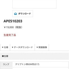未使用★コイズミペンダントライトの画像