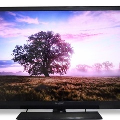 SHARP40型　