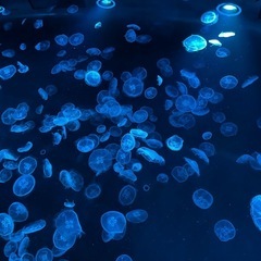 8/15 12時～  お茶しませんか？