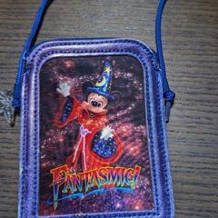ディズニーのパスポート入れの画像
