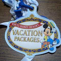 ディズニーのパスポート入れの画像