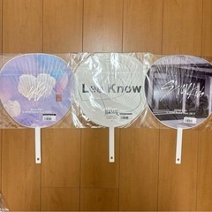 StrayKids Leeknowの画像