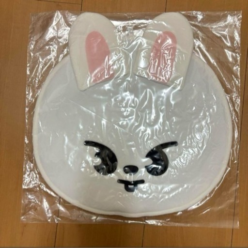 その他 StrayKids Leeknow