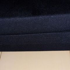 テンピュール　クッションの画像