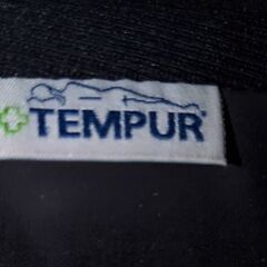 テンピュール　クッションの画像