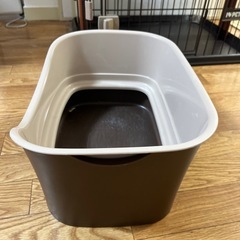 猫　トイレの画像