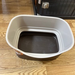猫　トイレの画像