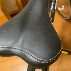 GIOS MISTRAL 黒　2021 JOB正規輸入品　未使用品の画像