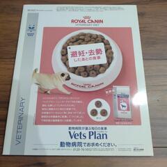 いぬのきもち　2009年2月号の画像