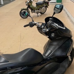 pcx125の画像