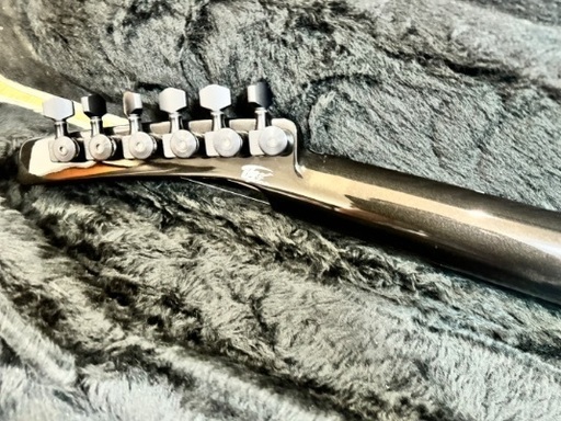 楽器 Parker Fly Classic