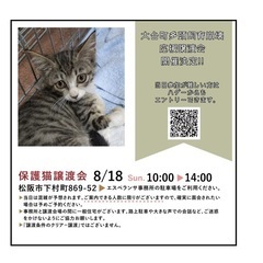 多頭崩壊からの保護猫譲渡会