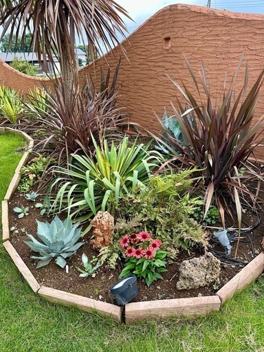 生活雑貨 家庭用品 ガーデニング