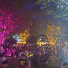 湯のまち宝塚タンサンフェス　【OSORAmarket☀】 - イベント