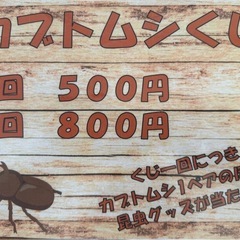 【8/17開催】カブトムシ・ウッドコースターづくり　アートアウト...