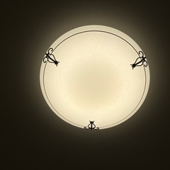 LEDシーリングライト オーデリックの画像
