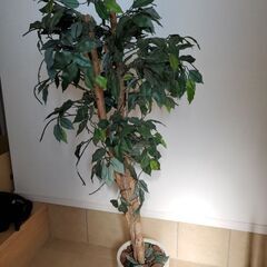 観葉植物(造花)