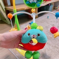 メリーの画像