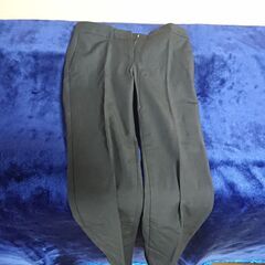 ⑩　パンツ　レディース　(株)オンワード樫山 ice サイズJP...