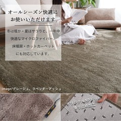 裏地滑り止め付きラグ　マット　カーペット　200✖️200