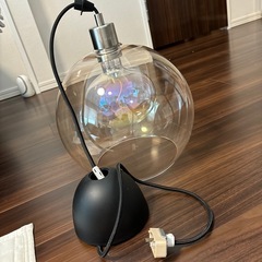 ヤーコブスビンの中古が安い!激安で譲ります・無料であげます ヤーコブスビンの中古が安い!激安で譲ります・無料であげます
