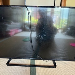 テレビ