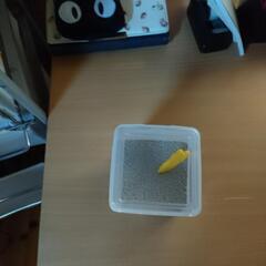 ハムスタートイレ砂