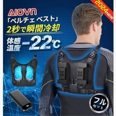 ほぼ新品！熱中症対策のペルチェベスト