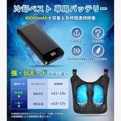 ほぼ新品！熱中症対策のペルチェベスト